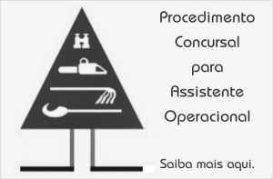 Procedimento Concursal