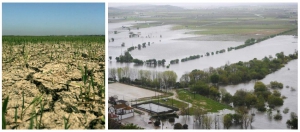 Plano Intermunicipal de Adaptação às Alterações Climáticas da Lezíria do Tejo