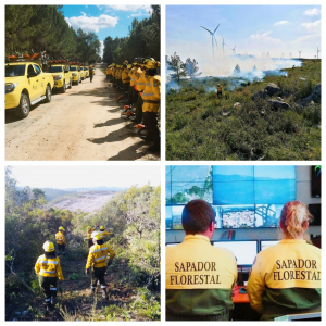 DIA NACIONAL DO SAPADOR FLORESTAL